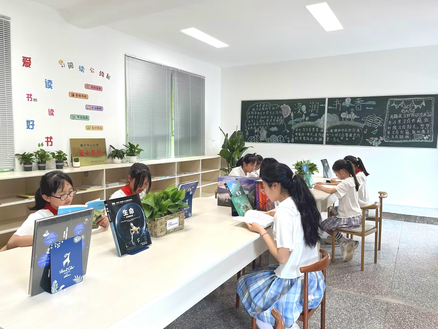 图片12.jpg